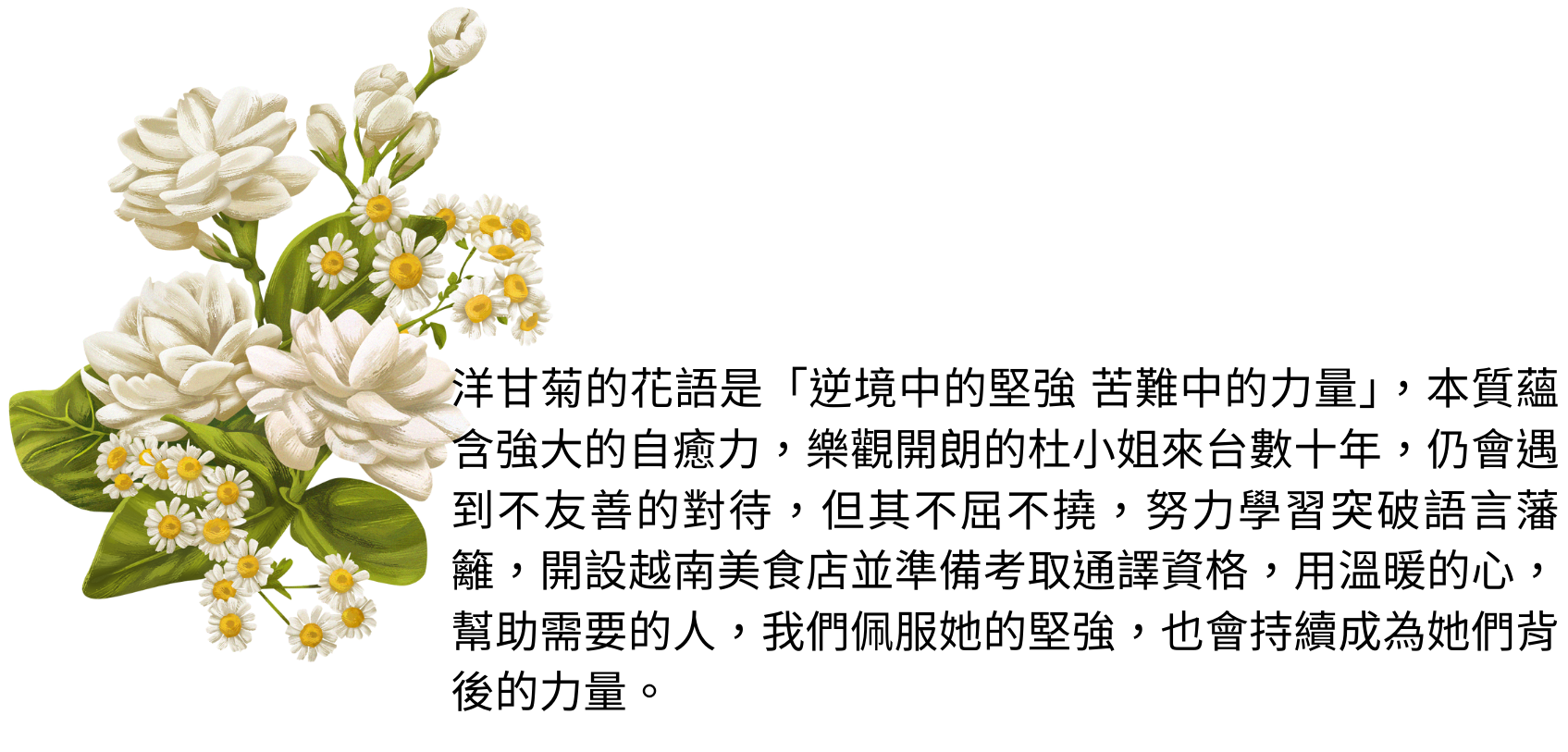 洋甘菊