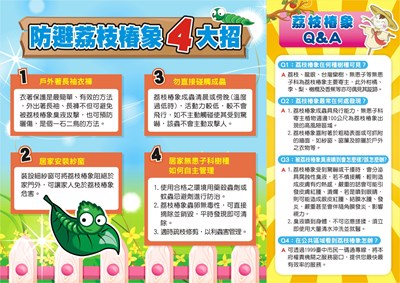 防避荔枝椿象4大招海報 (2)